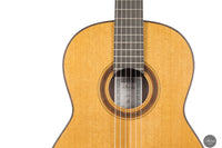 Siccas Luthiers - Legacy Doubletop Cedar 64 cm
