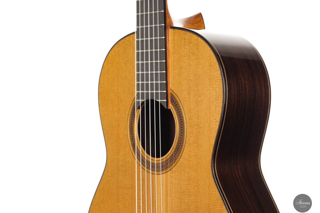 Siccas Luthiers - Legacy Doubletop Cedar