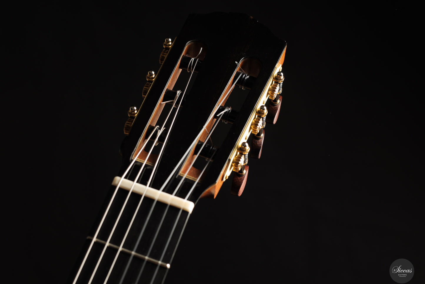 Siccas Luthiers - Legacy Doubletop Spruce