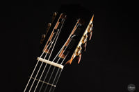 Siccas Luthiers - Legacy Doubletop Spruce 64 cm - Neck and tuner thumbnail