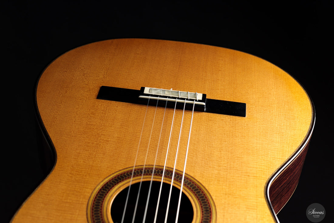 Siccas Luthiers - Legacy Doubletop Spruce 64 cm - Front view