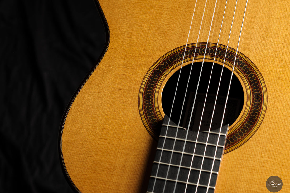 Siccas Luthiers - Legacy Doubletop Spruce 64 cm - Front view