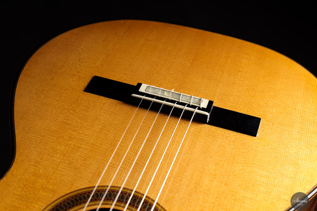 Siccas Luthiers - Legacy Doubletop Spruce