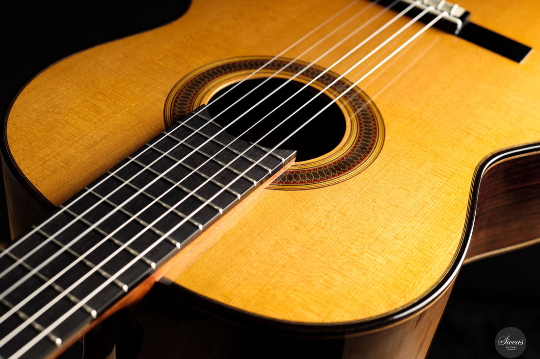 Siccas Luthiers - Legacy Doubletop Spruce 64 cm - Front view