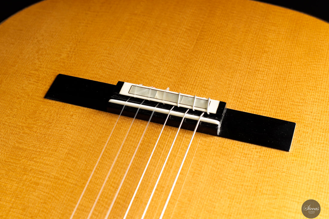 Siccas Luthiers - Legacy Doubletop Spruce 64 cm - Front view