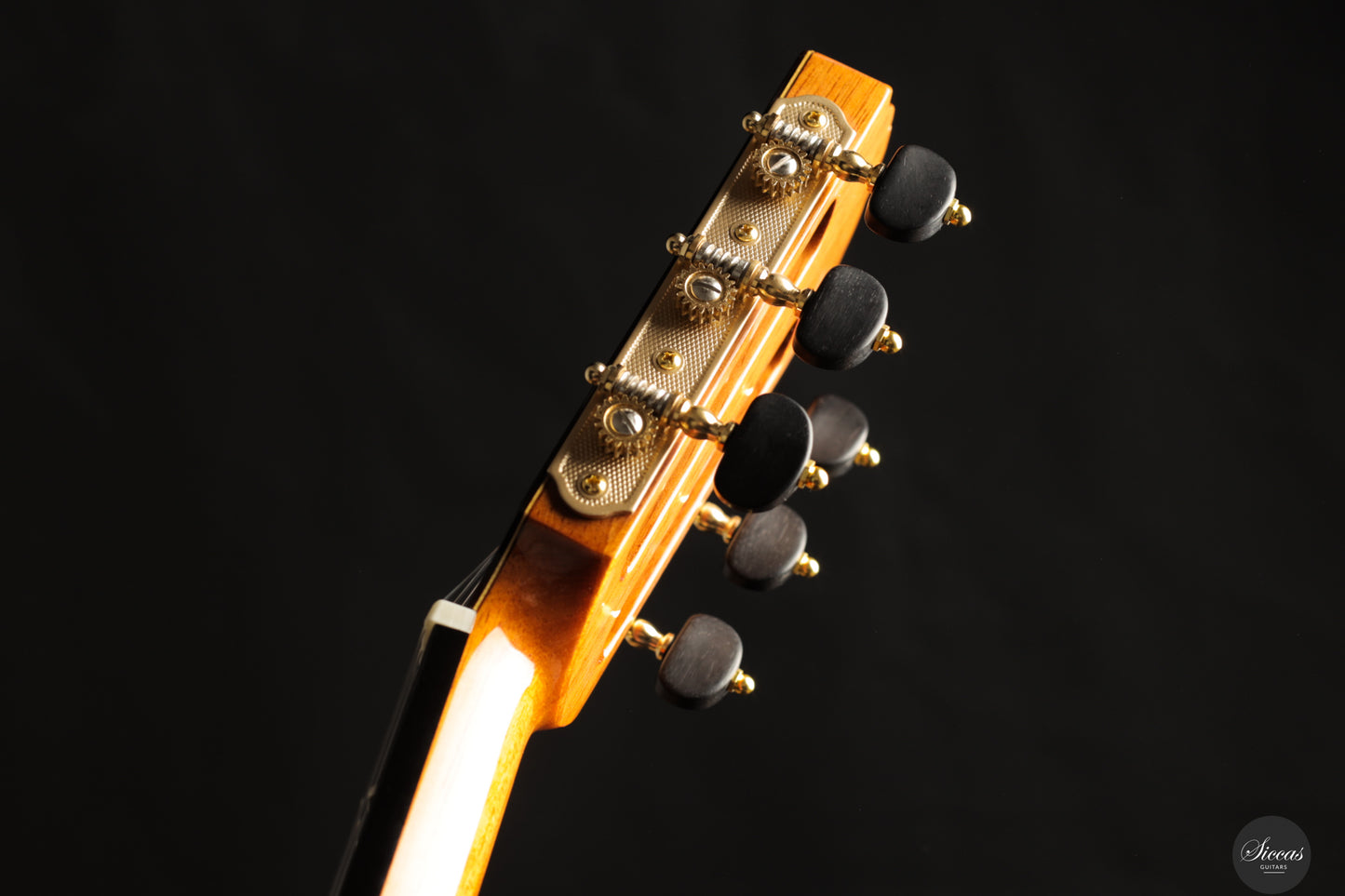 Siccas Luthiers - Recital Contemporary Doubletop Lattice Cedar 64 cm