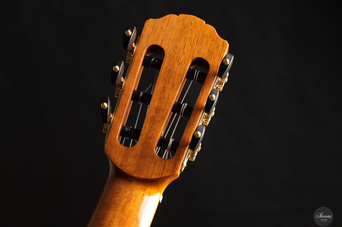 Siccas Luthiers - Recital Contemporary Doubletop Lattice Cedar 64 cm