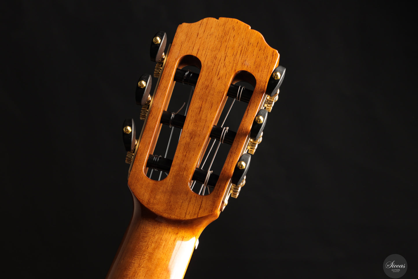 Siccas Luthiers - Recital Contemporary Doubletop Lattice Cedar 64 cm