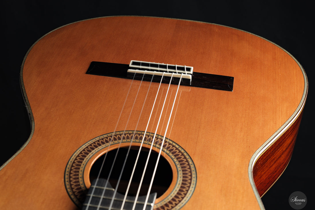 Siccas Luthiers - Recital Contemporary Doubletop Lattice Cedar