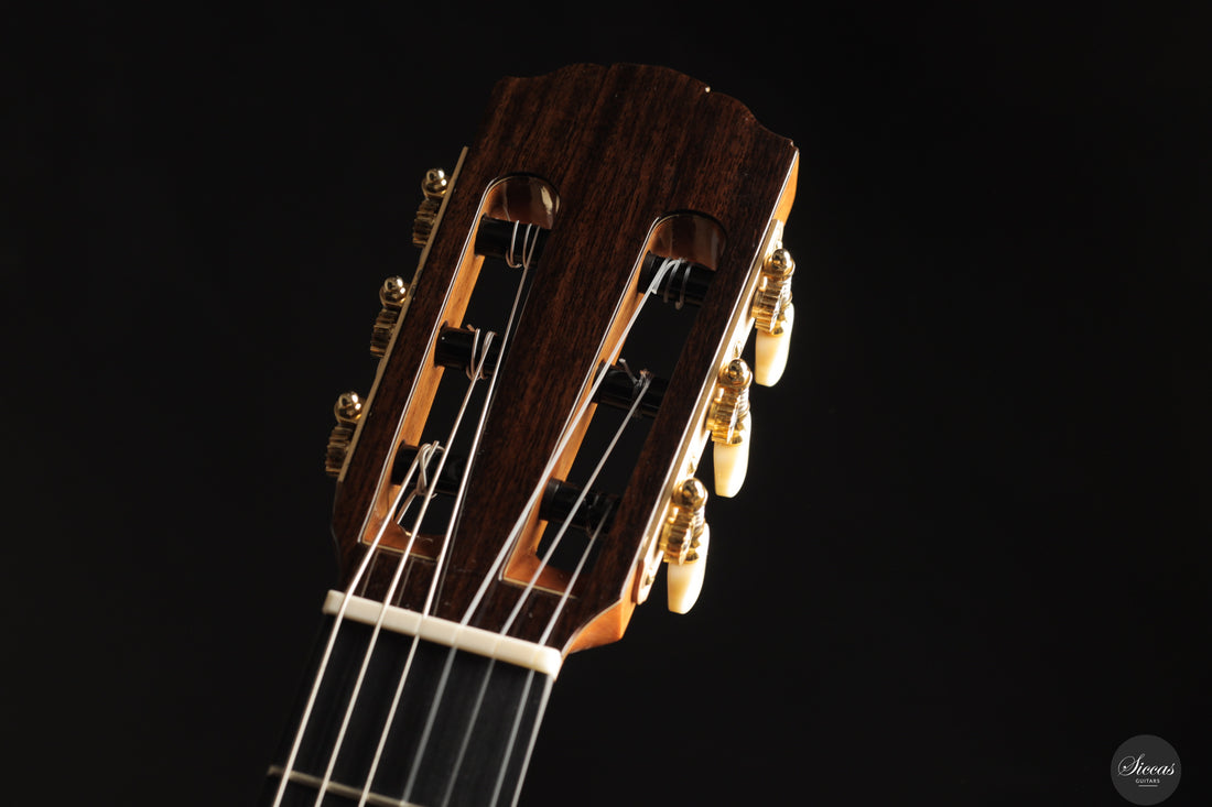 Siccas Luthiers - Recital Traditional Spruce