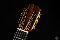 Siccas Luthiers - Recital Traditional Cedar 64 cm