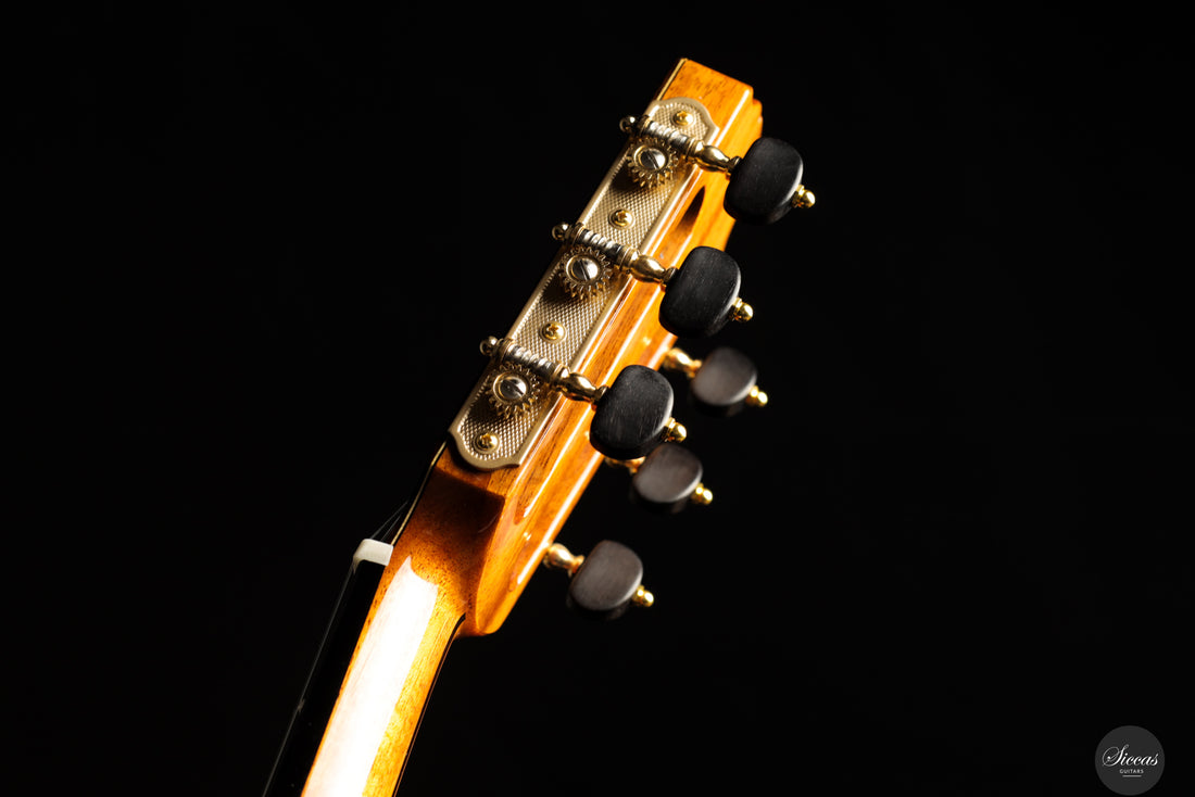 Siccas Luthiers - Recital Traditional Cedar - Neck and tuner