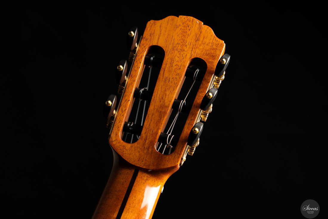 Siccas Luthiers - Recital Traditional Cedar - Neck and tuner