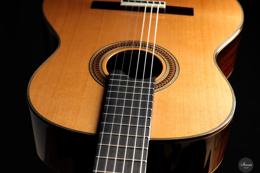 Siccas Luthiers - Recital Traditional Cedar - Front view