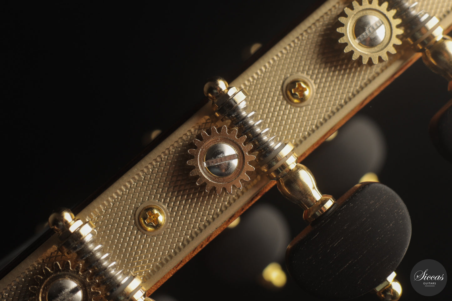 Siccas Luthiers - Recital Traditional Cedar 63 cm