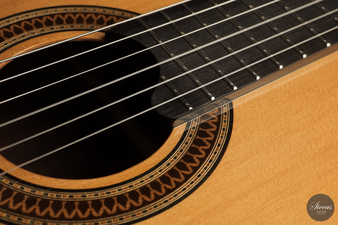 Siccas Luthiers - Recital Traditional Cedar 63 cm