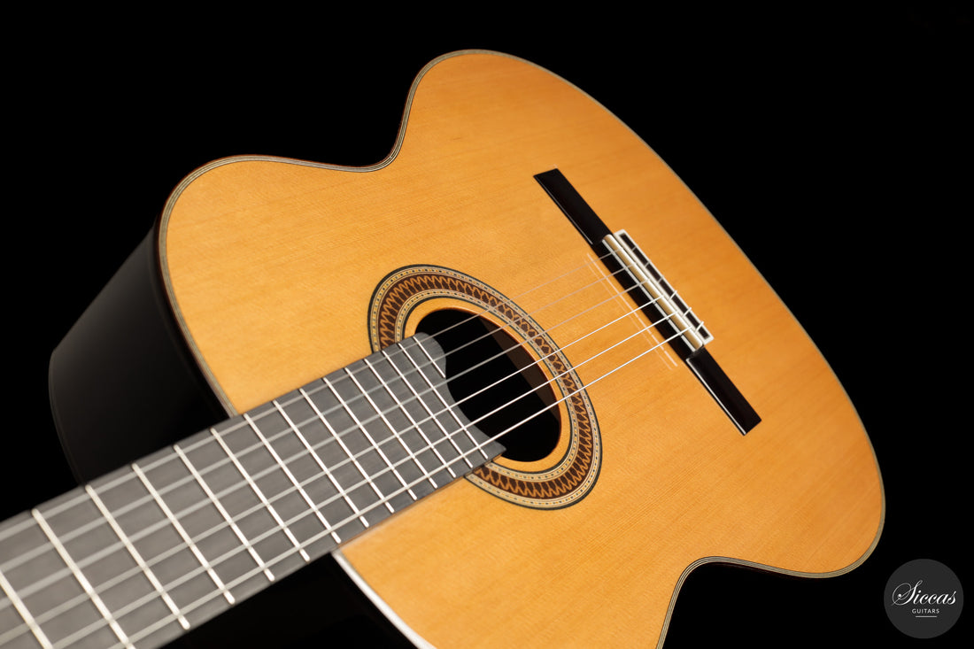Siccas Luthiers - Recital Traditional Cedar 63 cm