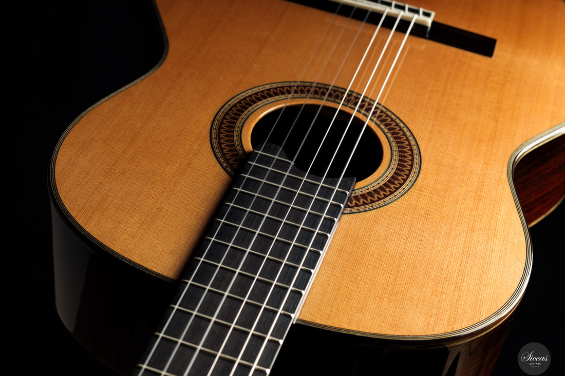 Siccas Luthiers - Recital Traditional Cedar