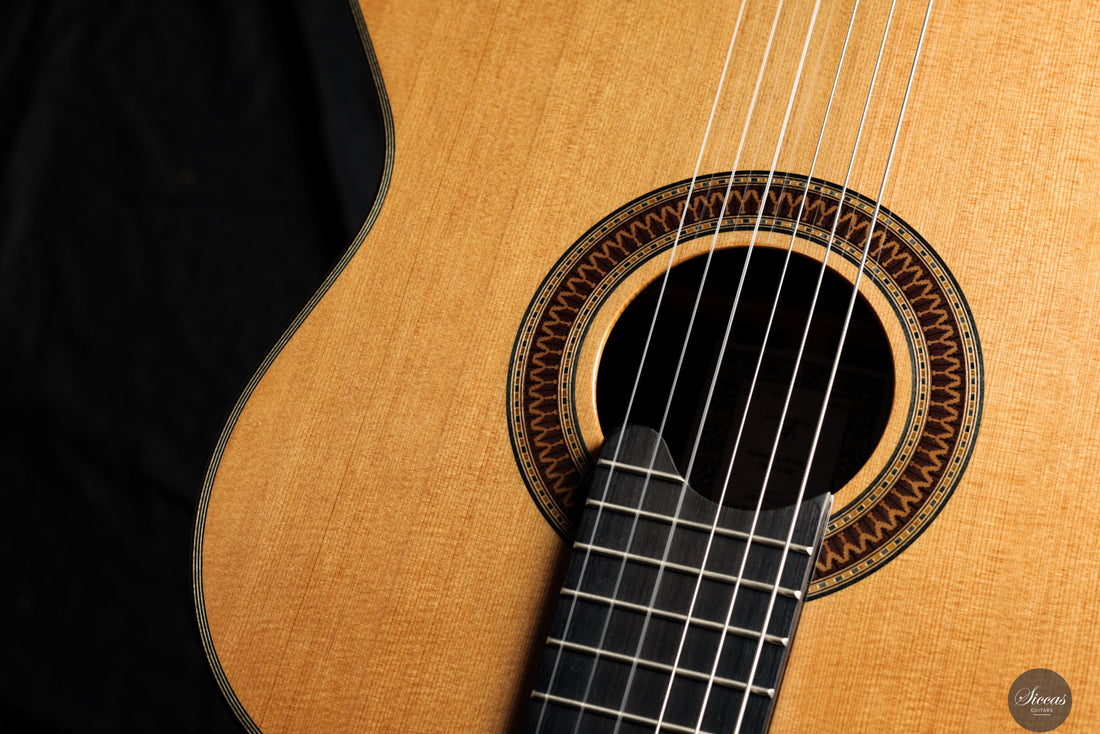 Siccas Luthiers - Recital Traditional Cedar 64 cm - Front view