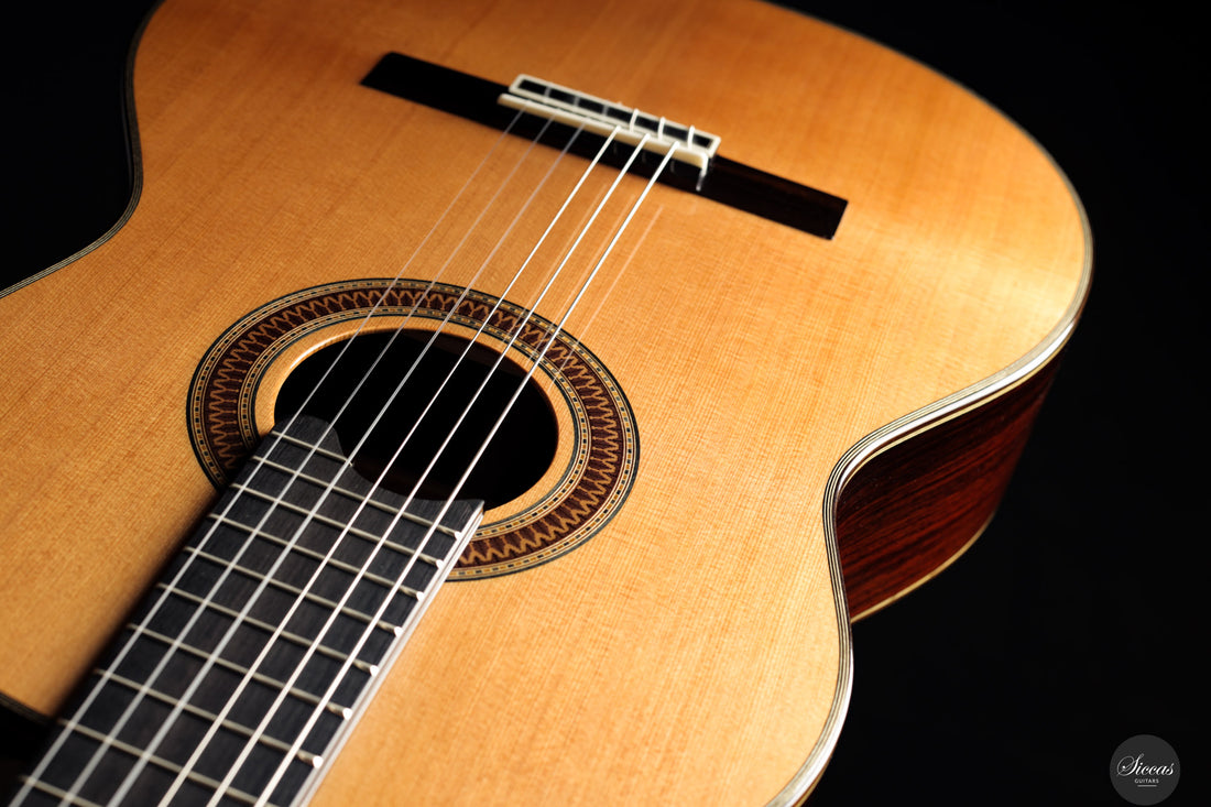 Siccas Luthiers - Recital Traditional Cedar - Front view