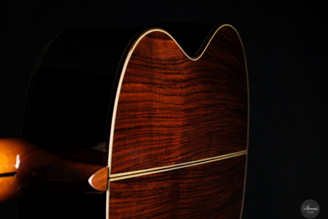 Siccas Luthiers - Recital Traditional Cedar 64 cm - Back and sides