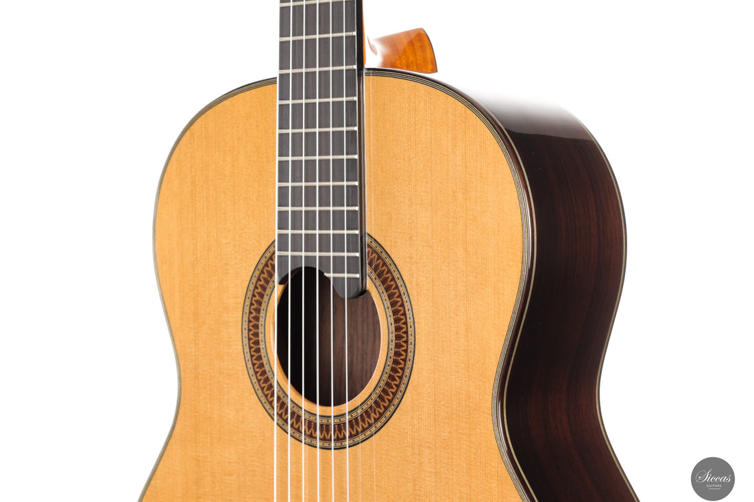Siccas Luthiers - Recital Traditional Cedar 64 cm - Front view