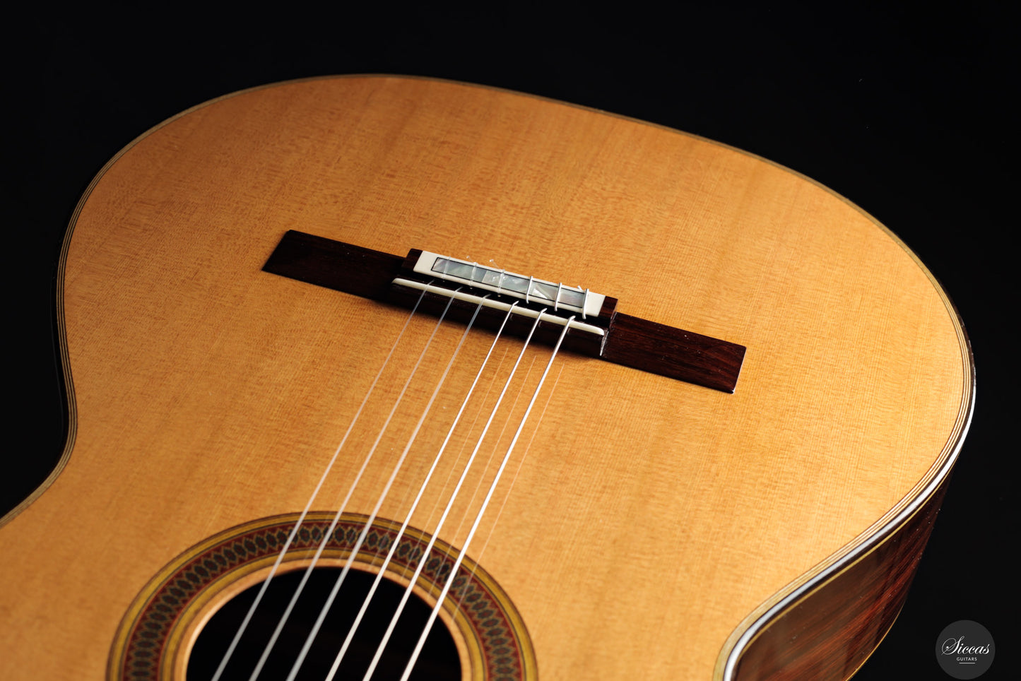 Siccas Luthiers - Synthesis Doubletop Cedar