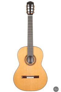 Siccas Luthiers - Synthesis Doubletop Cedar
