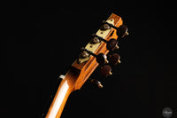 Siccas Luthiers - Synthesis Doubletop Cedar