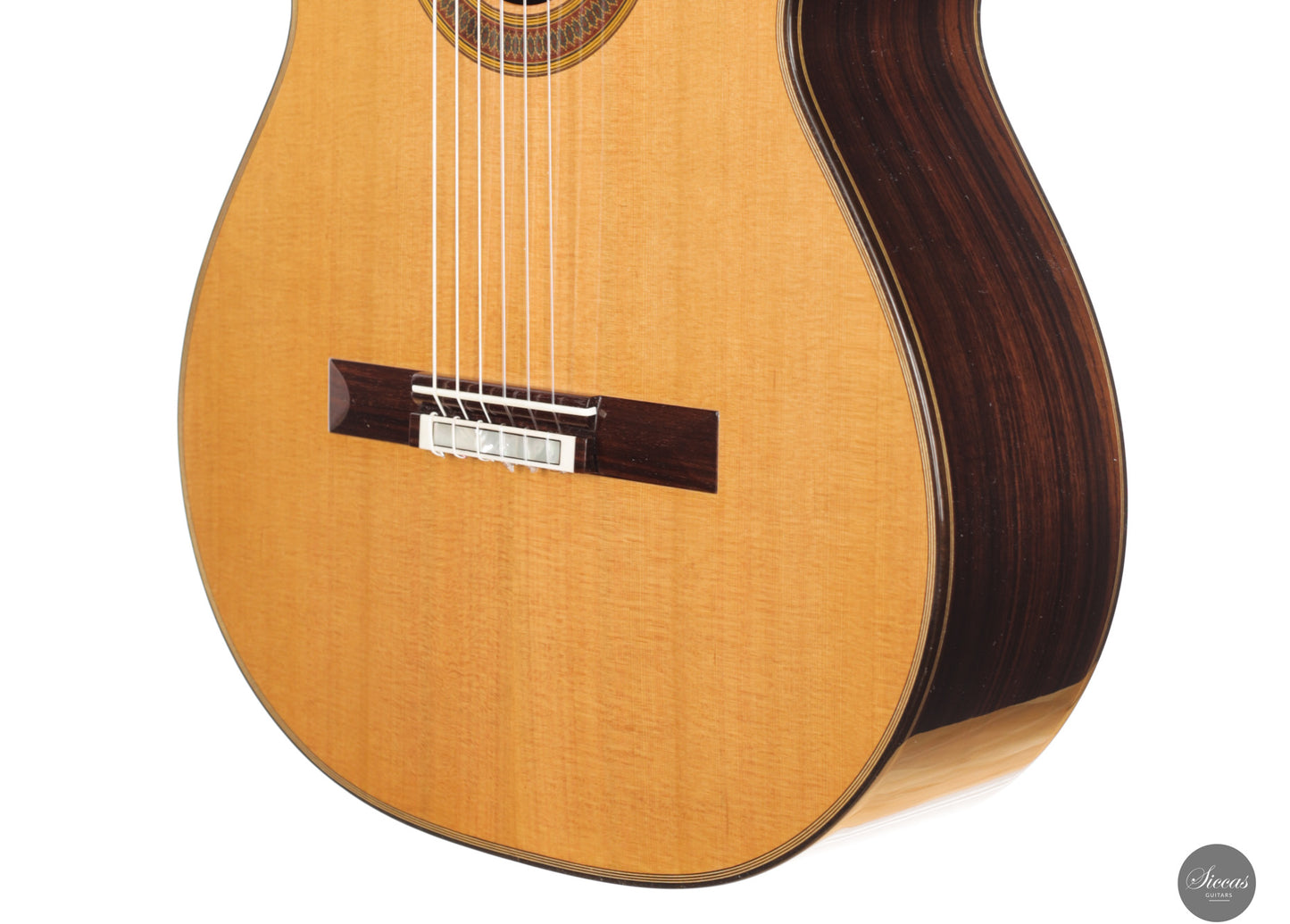 Siccas Luthiers - Synthesis Doubletop Cedar