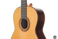 Siccas Luthiers - Synthesis Doubletop Cedar