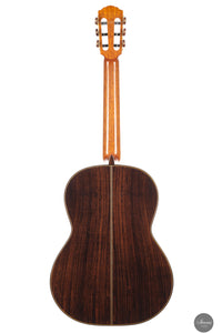 Siccas Luthiers - Synthesis Doubletop Cedar