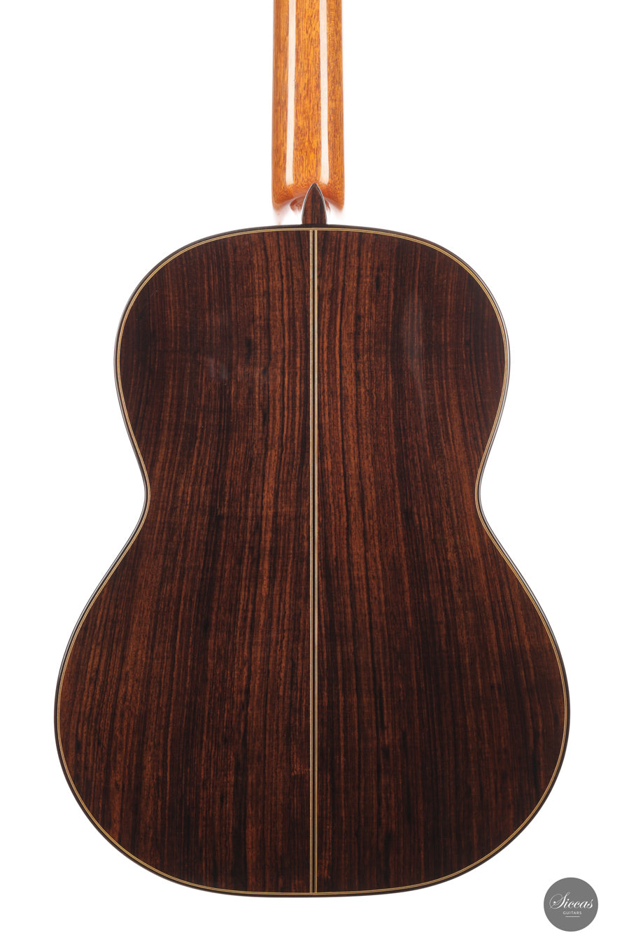 Siccas Luthiers - Synthesis Doubletop Cedar