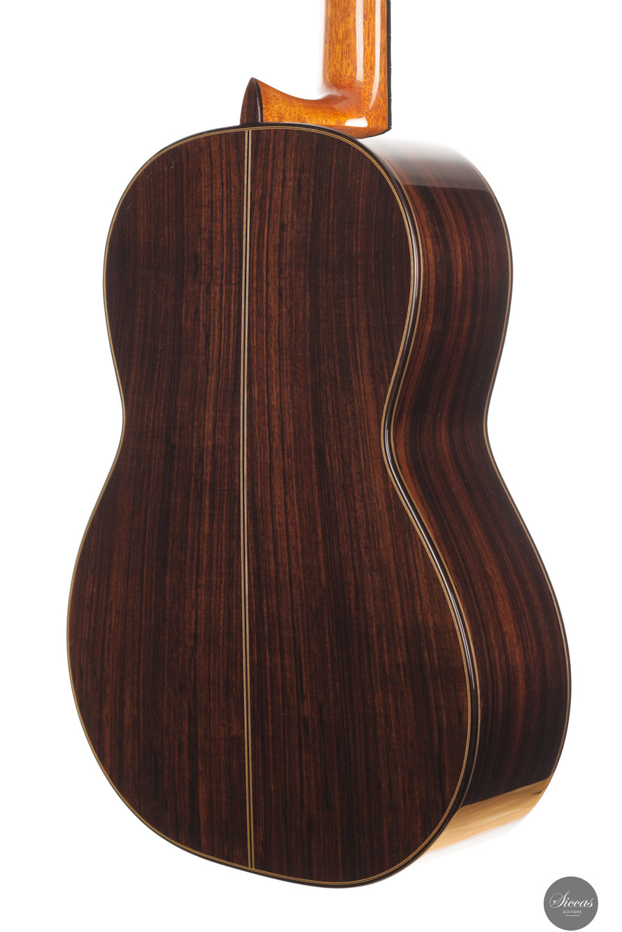 Siccas Luthiers - Synthesis Doubletop Cedar