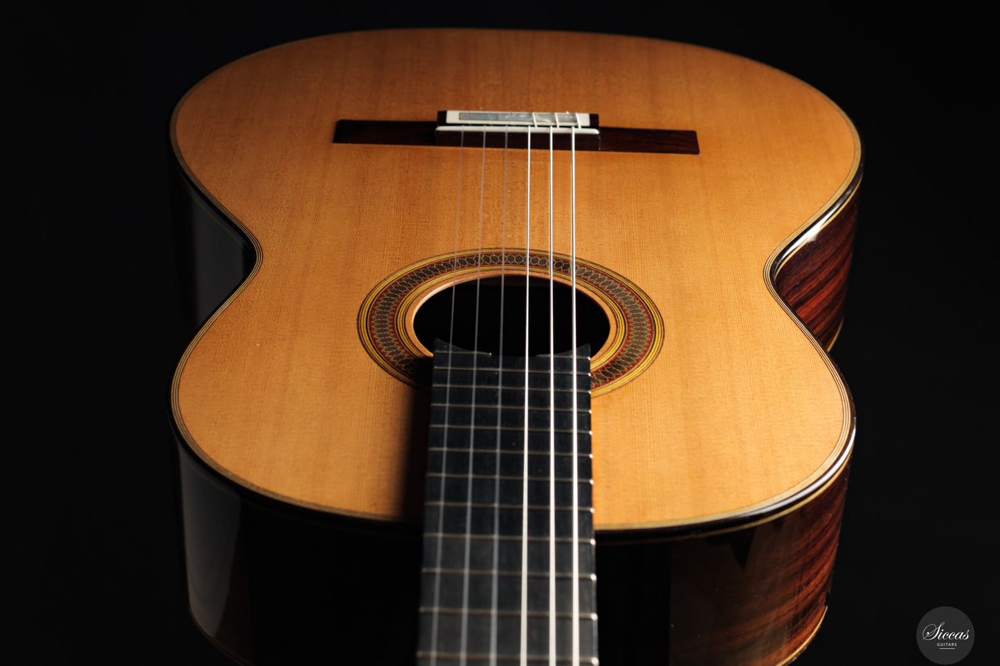 Siccas Luthiers - Synthesis Doubletop Cedar