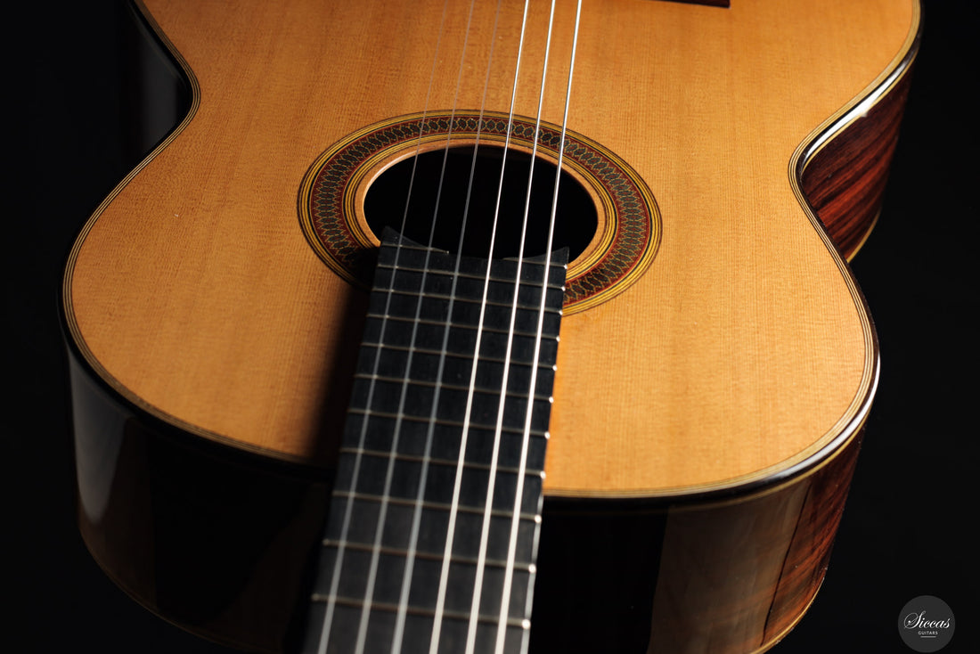 Siccas Luthiers - Synthesis Doubletop Cedar