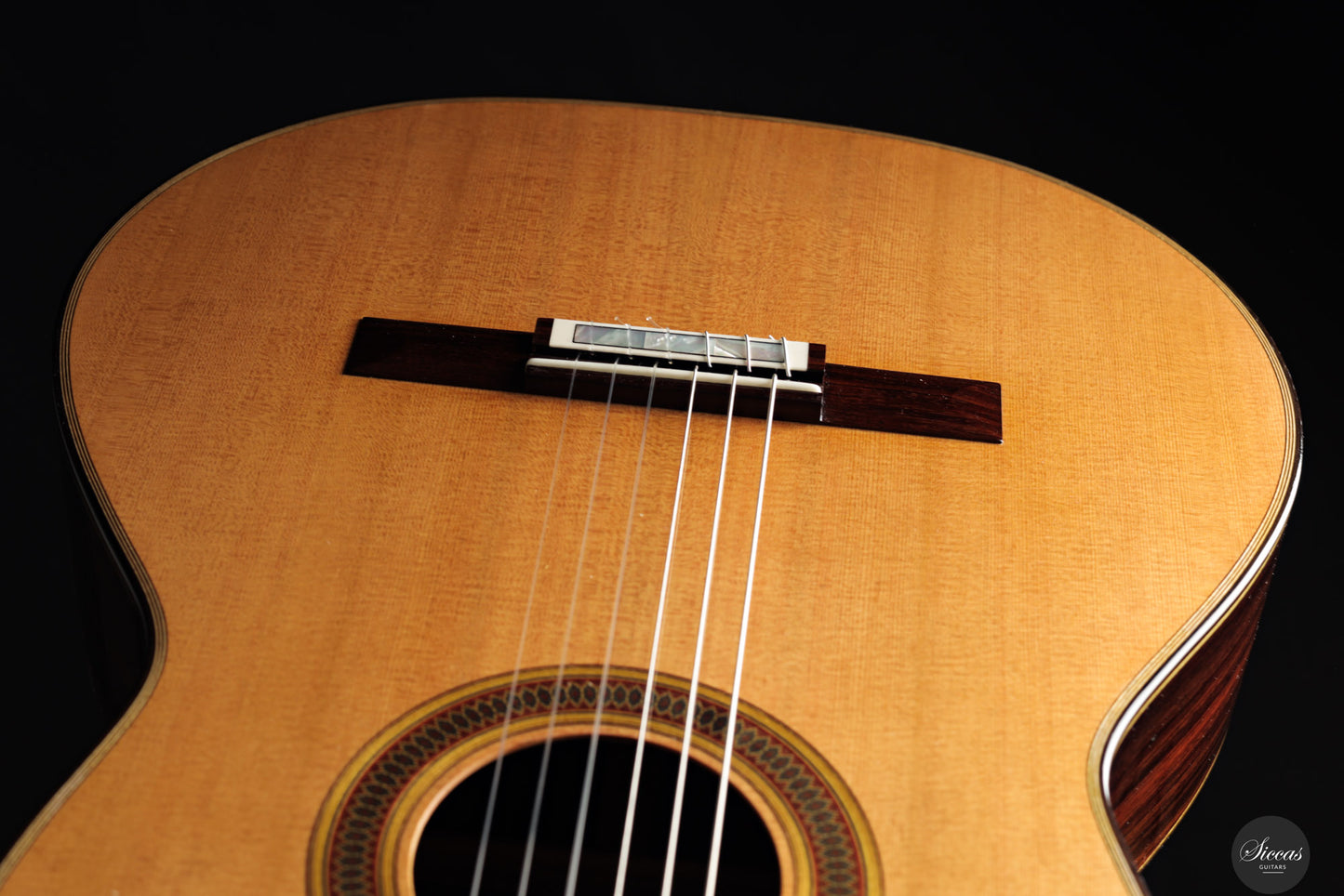 Siccas Luthiers - Synthesis Doubletop Cedar