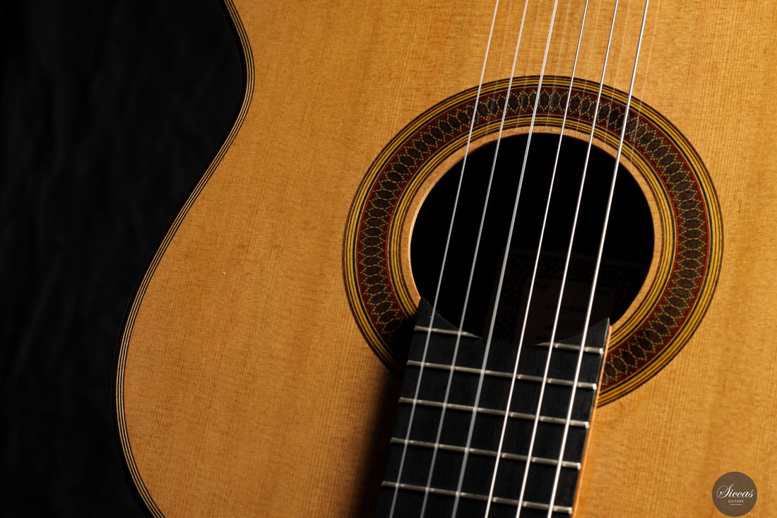 Siccas Luthiers - Synthesis Doubletop Cedar