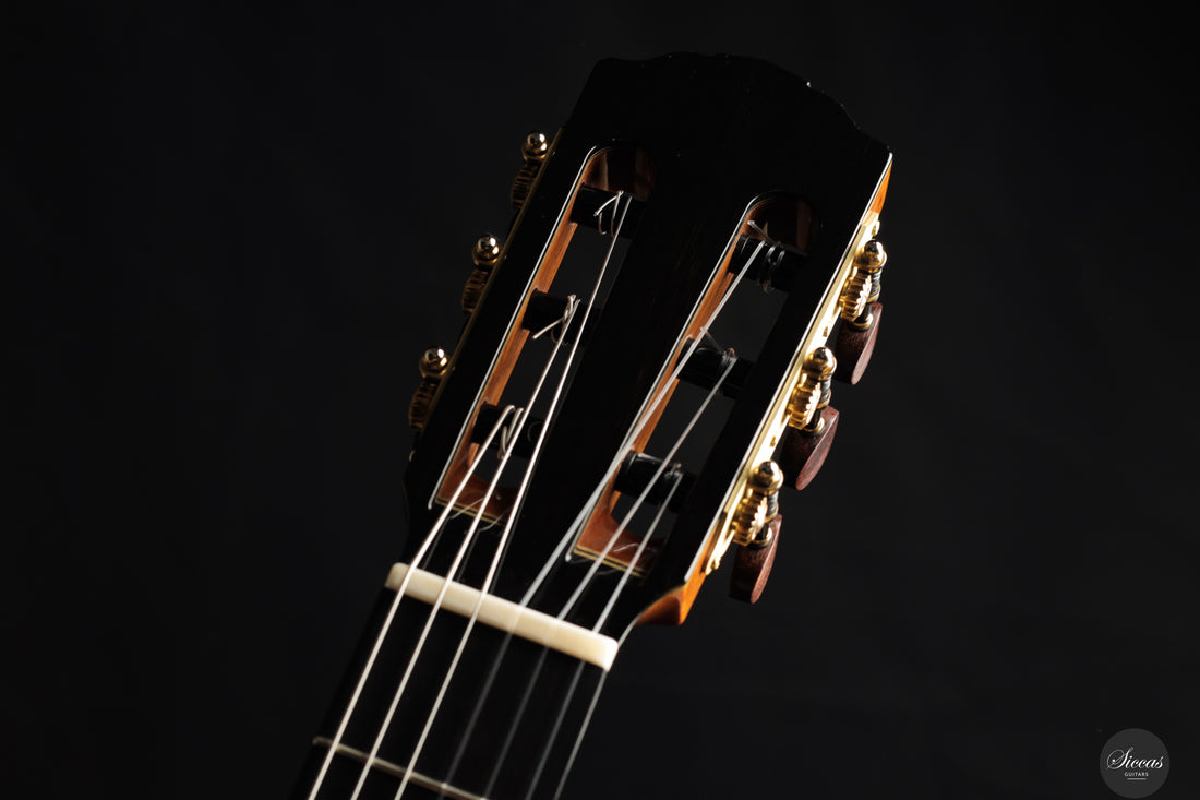 Siccas Luthiers - Synthesis Doubletop Spruce