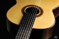 Siccas Luthiers - Synthesis Doubletop Spruce