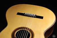 Siccas Luthiers - Synthesis Doubletop Spruce