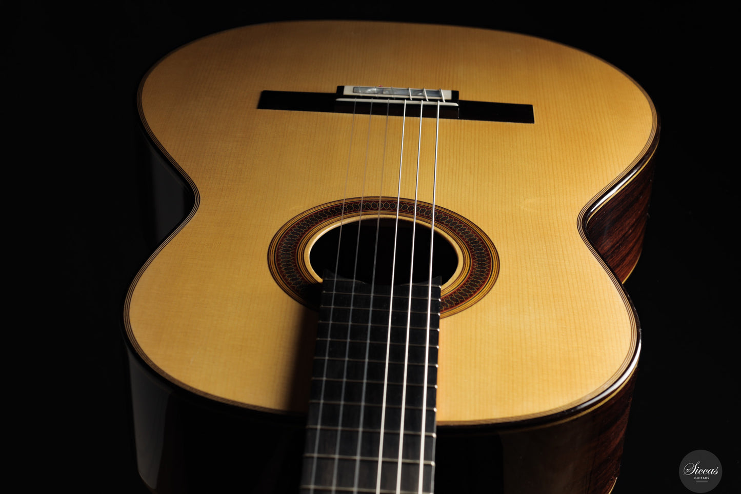 Siccas Luthiers - Synthesis Doubletop Spruce