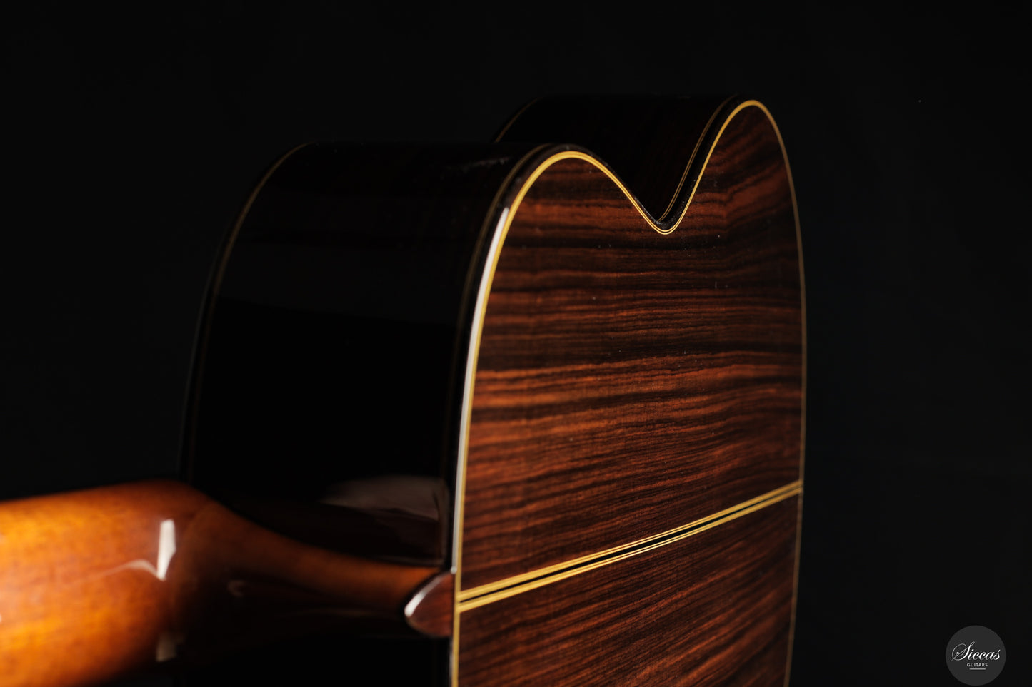 Siccas Luthiers - Synthesis Doubletop Spruce