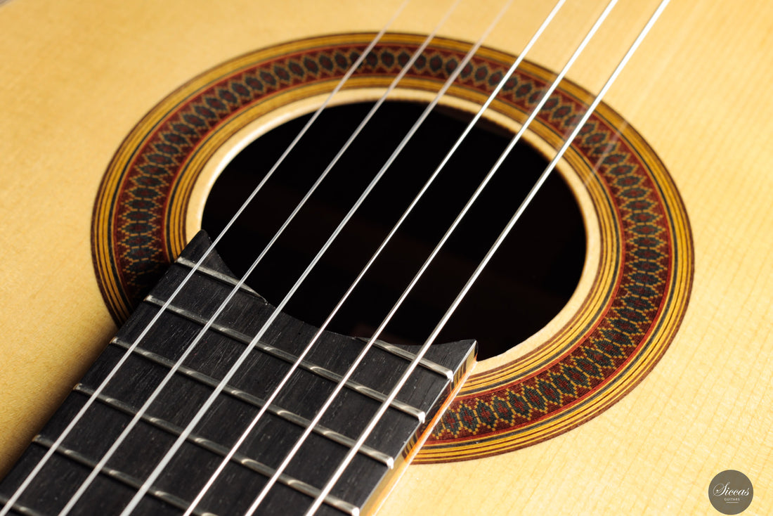 Siccas Luthiers - Synthesis Doubletop Spruce