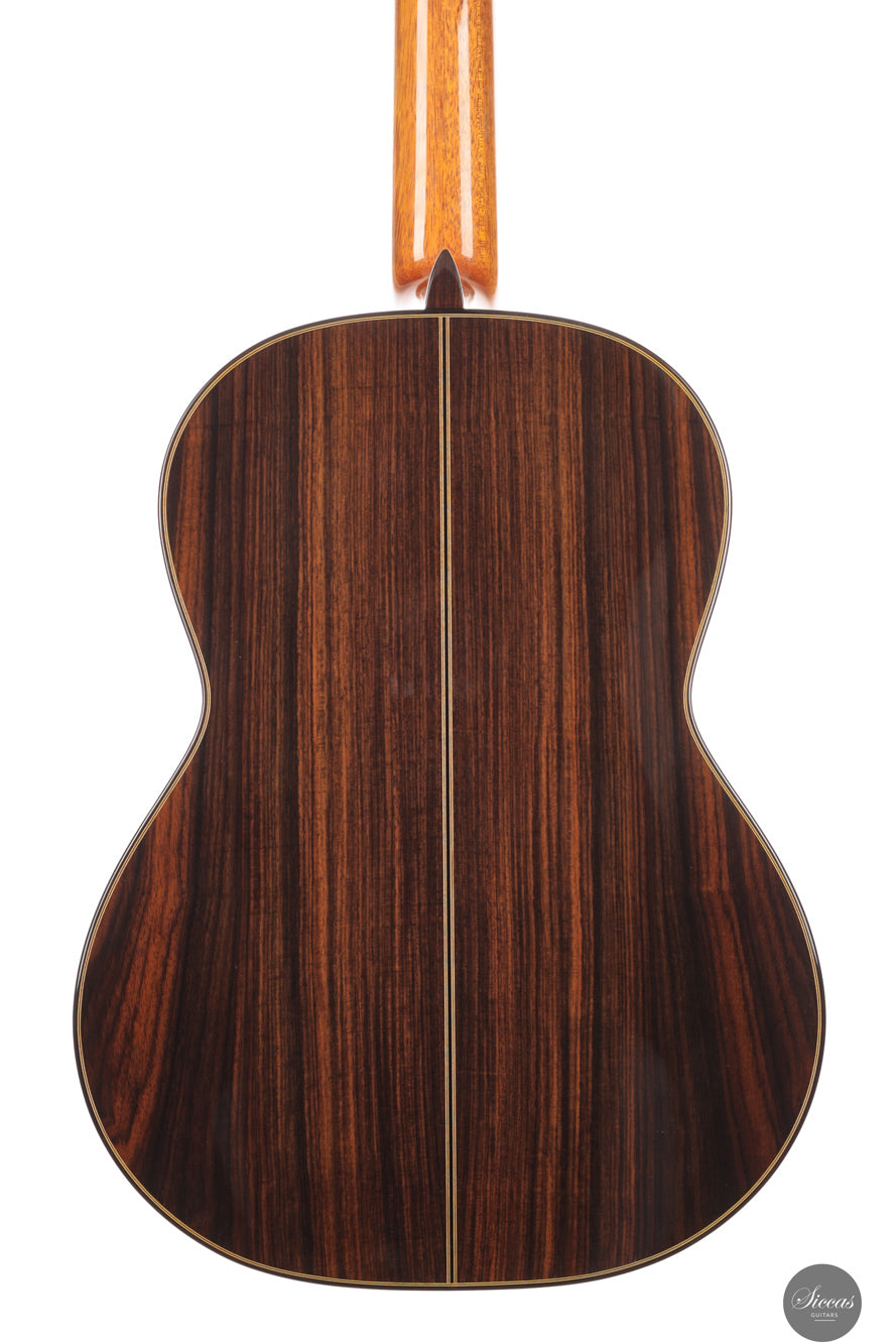 Siccas Luthiers - Synthesis Doubletop Spruce