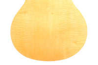 Simon Burgun - Stauffer 2017 CF