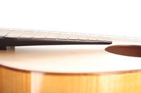 Simon Burgun - Stauffer 2017 CF