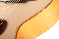 Simon Burgun - Stauffer 2017 CF