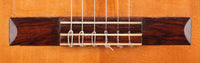 Sobrinos de Domingo Esteso – 1960