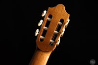 Stephen Eden - 2025 - "Friederich" No. 216